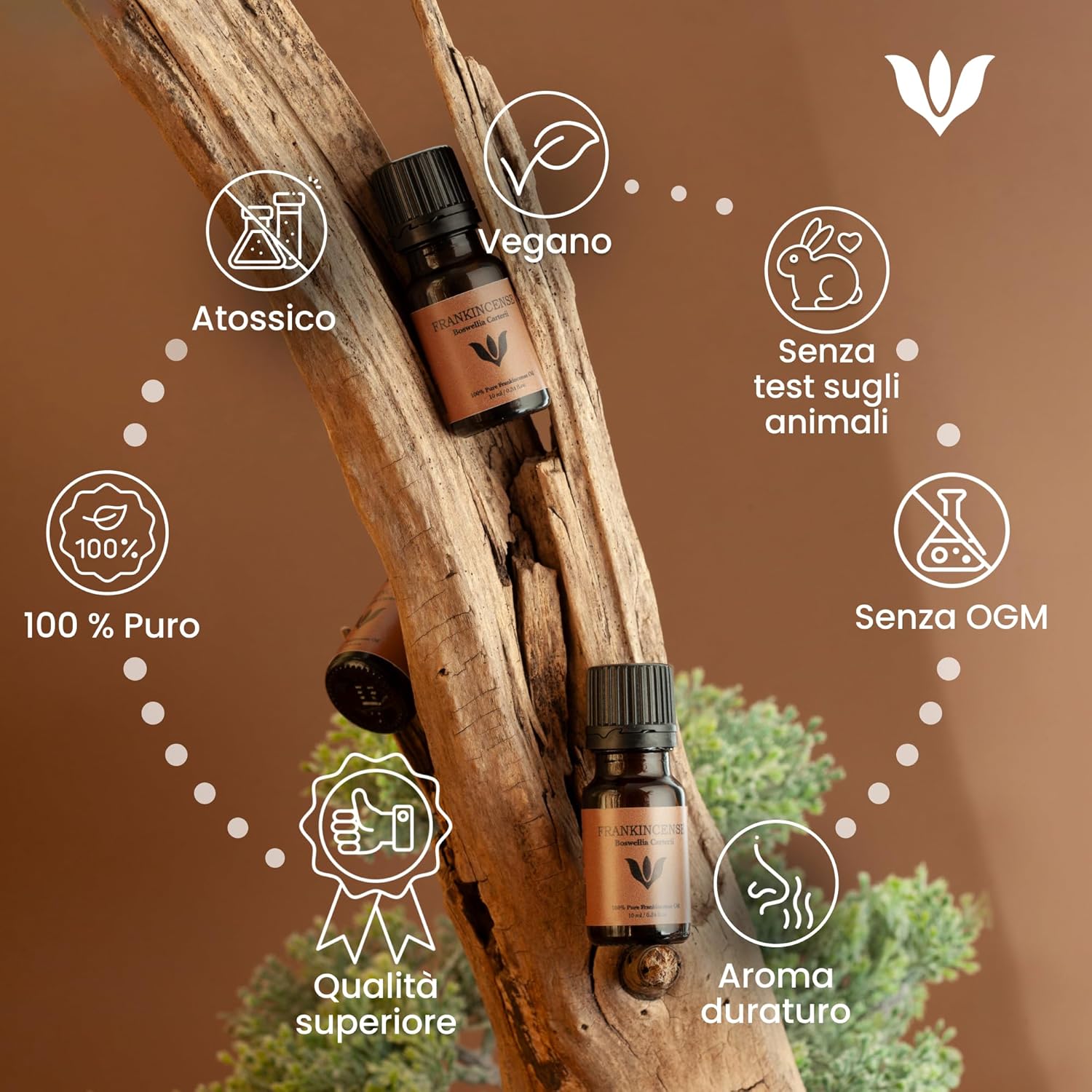 Olio Essenziale Incenso Puro 100% (10ml) - immagine 2