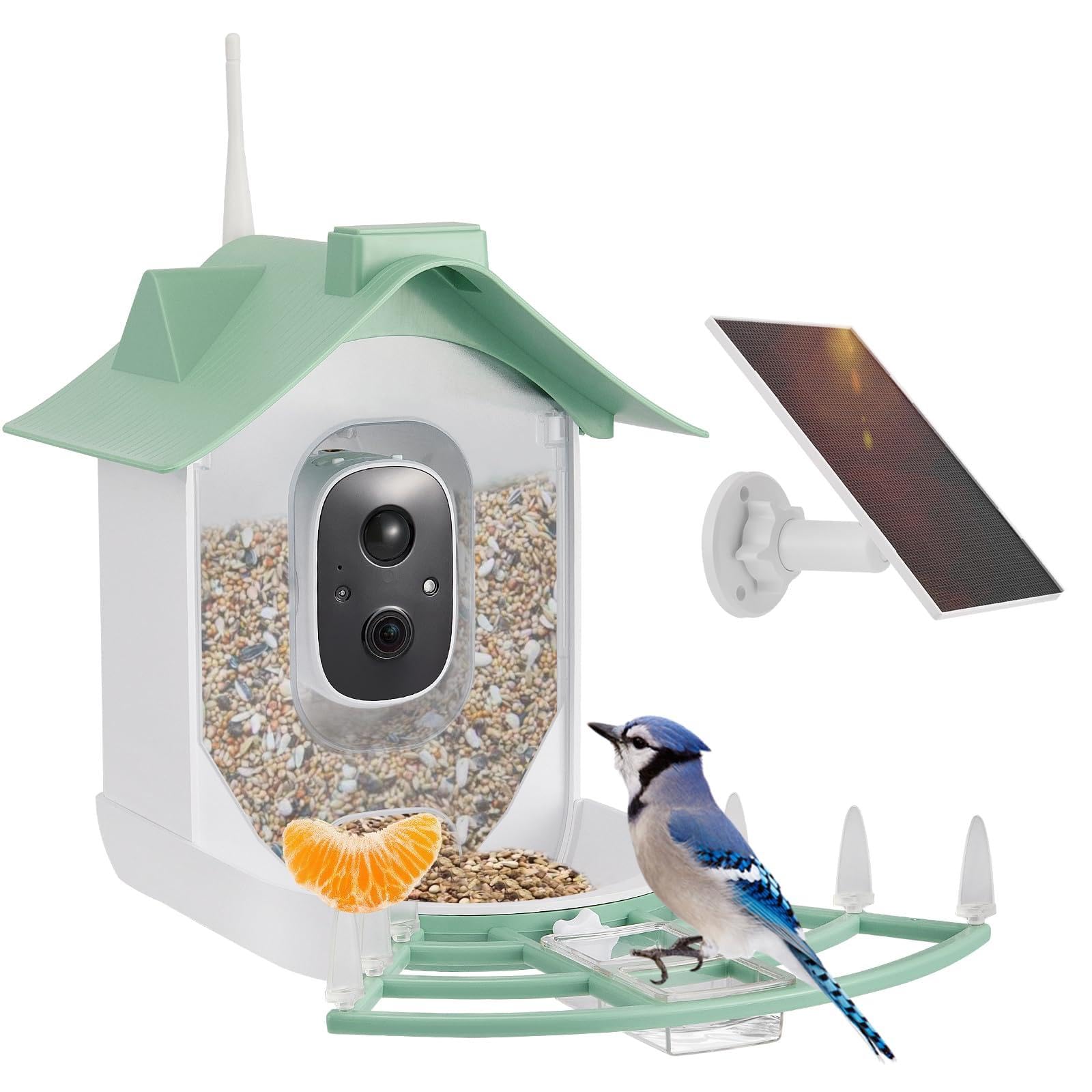 Mangiatoia per Uccelli con Telecamera 1080P Solare, Verde