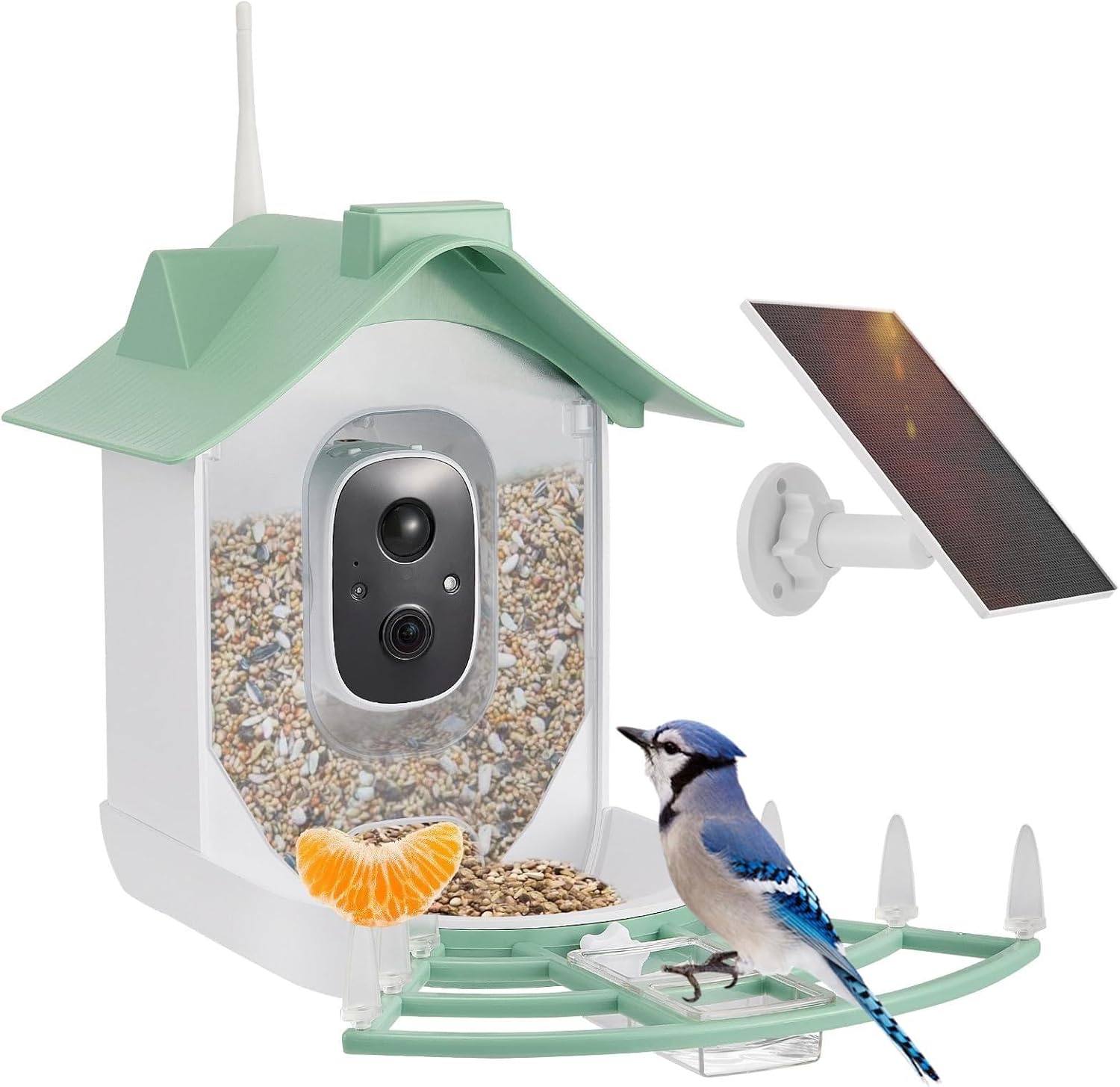 Mangiatoia per Uccelli con Telecamera 1080P Solare, Verde - immagine 1
