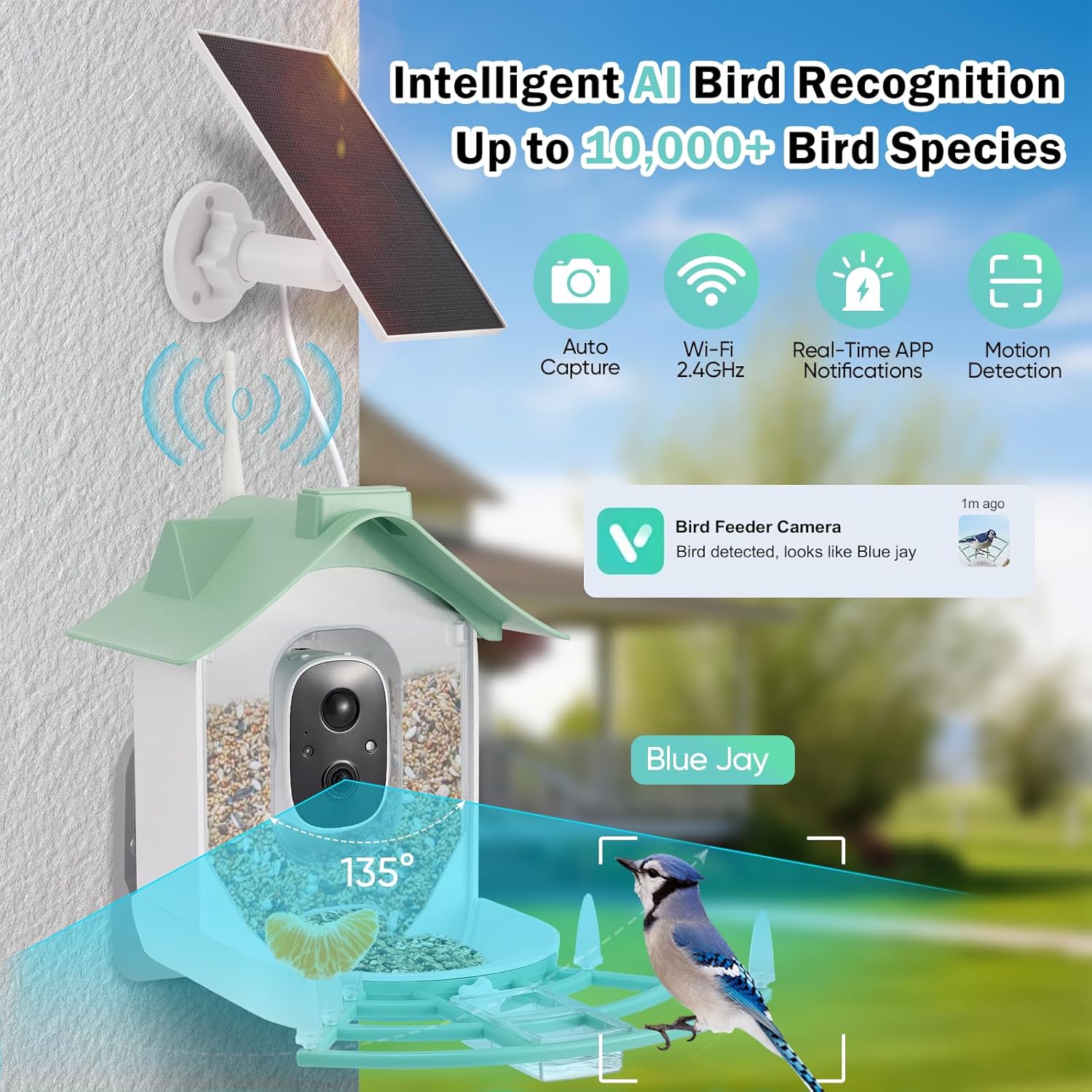 Mangiatoia per Uccelli con Telecamera 1080P Solare, Verde - immagine 4