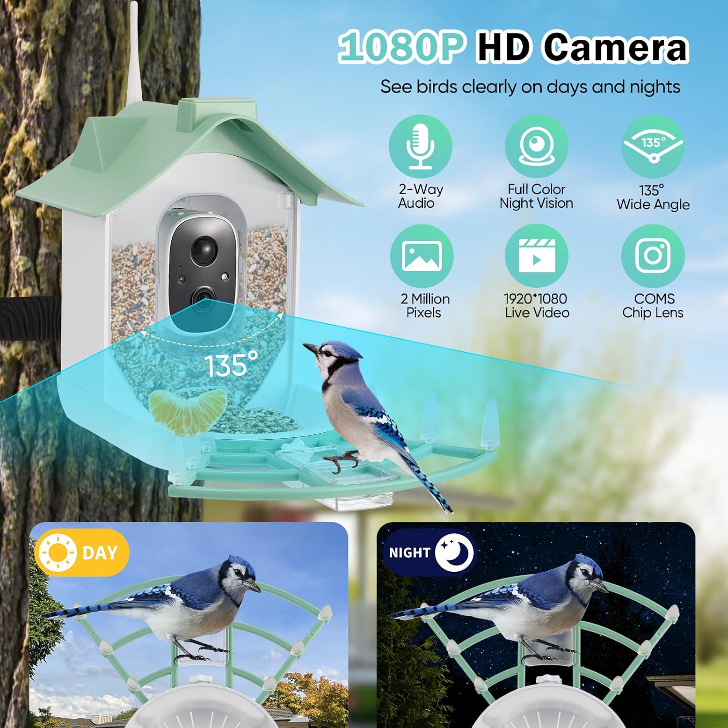 Mangiatoia per Uccelli con Telecamera 1080P Solare, Verde - immagine 5