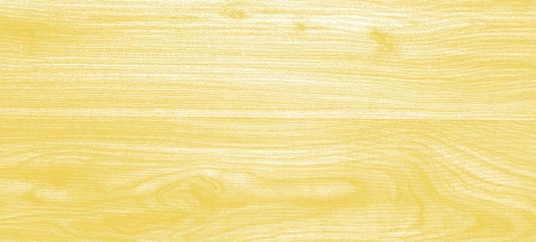 Xyladecor SMALTO IMPREGNANTE LEGNO Incolore 5L - immagine 3