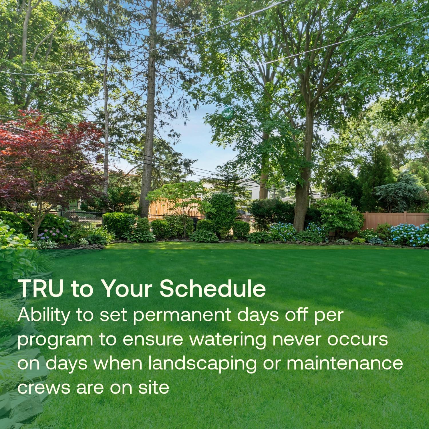 Rain Bird TRU6I - Regolatore/Timer per Irrigazione Interna - immagine 5