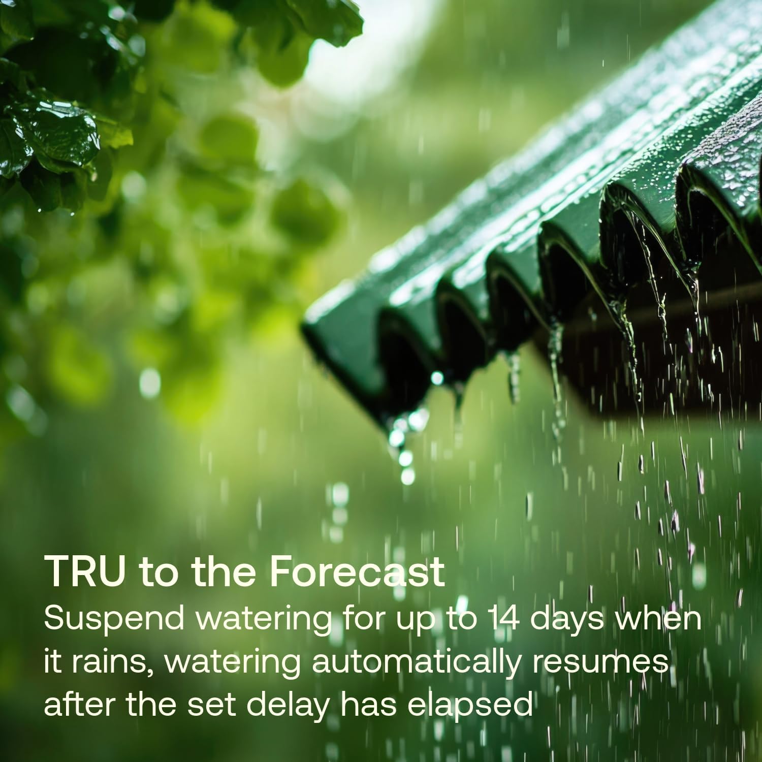 Rain Bird TRU6I - Regolatore/Timer per Irrigazione Interna - immagine 6