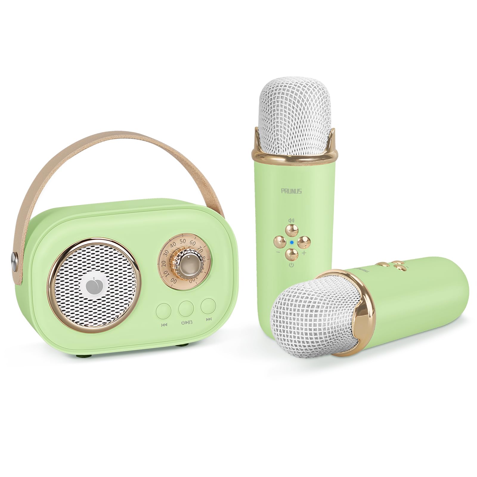 Prunus C20 Karaoke con Microfono Bluetooth, Verde