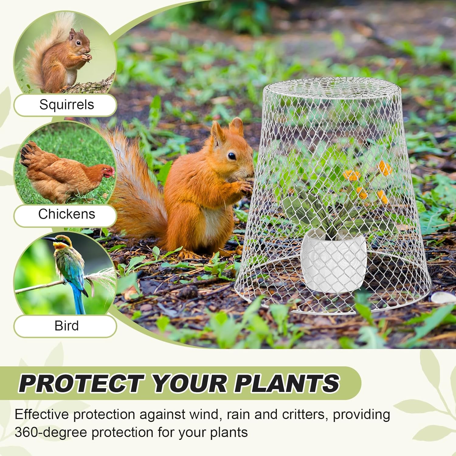 10 Coperture Protettive per Piante in Filo di Pollo - immagine 5