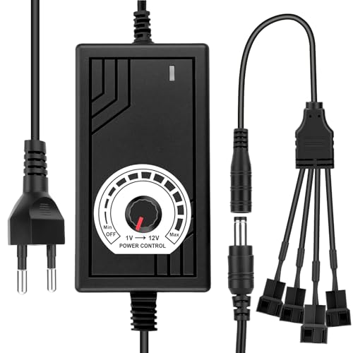 Ruizhi Regolatore Velocità Ventola PC 12V 24W