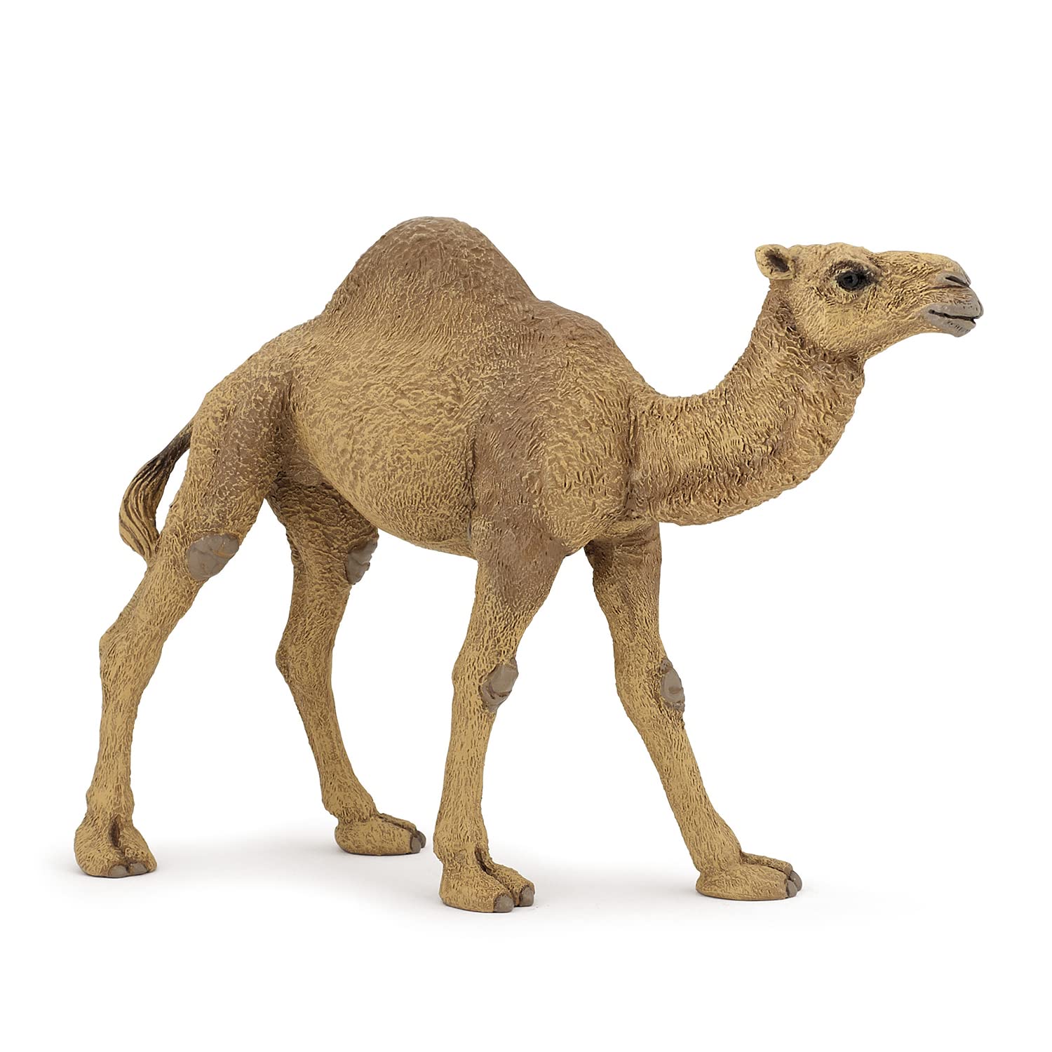 Papo -Dipinta a Mano- figurina-Fauna Selvatica -Dromedario-50151-Collezione -Adatto a Bambini e Bambine - A Partire dai 3 Anni di età