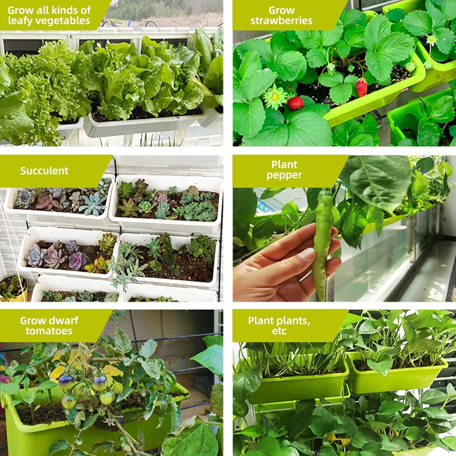 CEIEVER Pianta da Parete Verticale Sospesa 8 Tasche - immagine 8