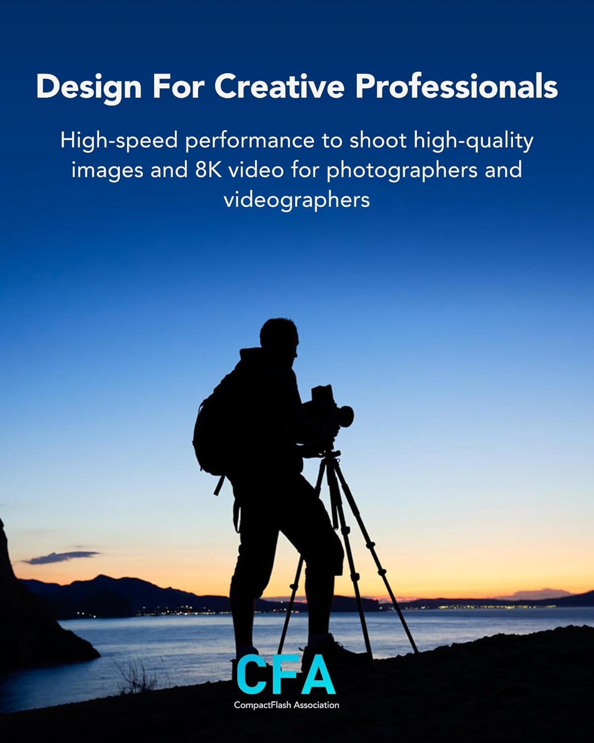 Lexar Professional SILVER Scheda CFexpress Tipo B 128GB - immagine 3