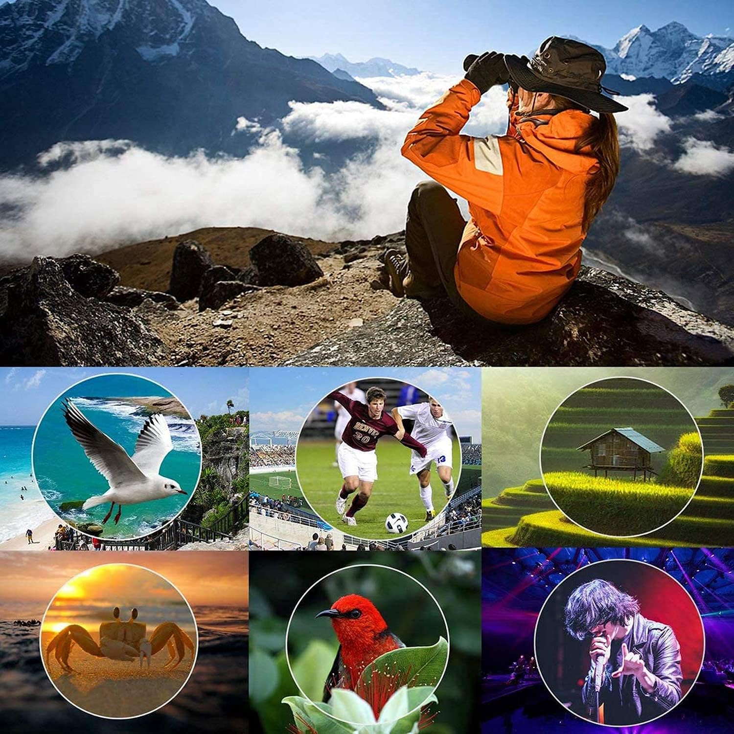 Binocolo Professionale 20x50 Potente Compatto Notturna - immagine 2