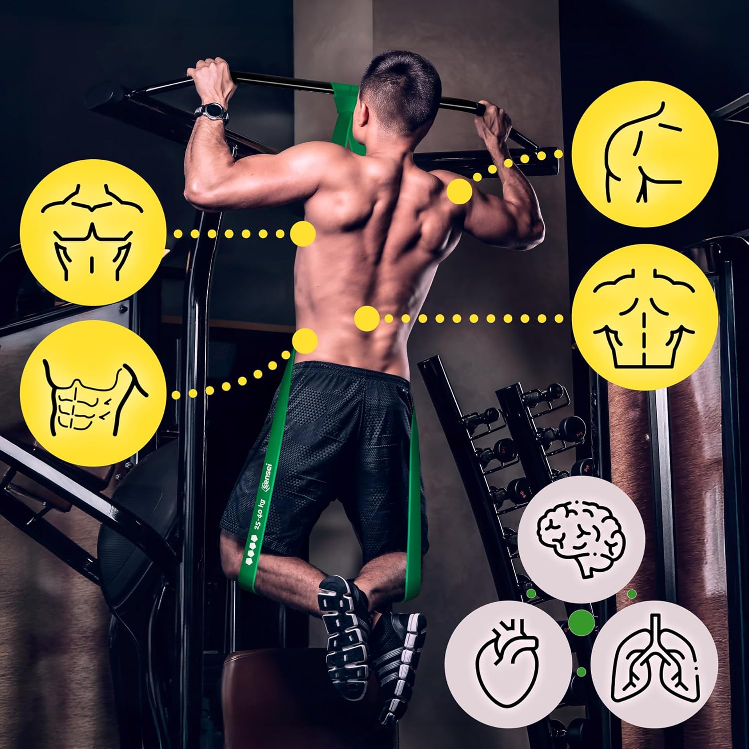 Sensei® Set Elastici Fitness & Bande di Resistenza - immagine 4