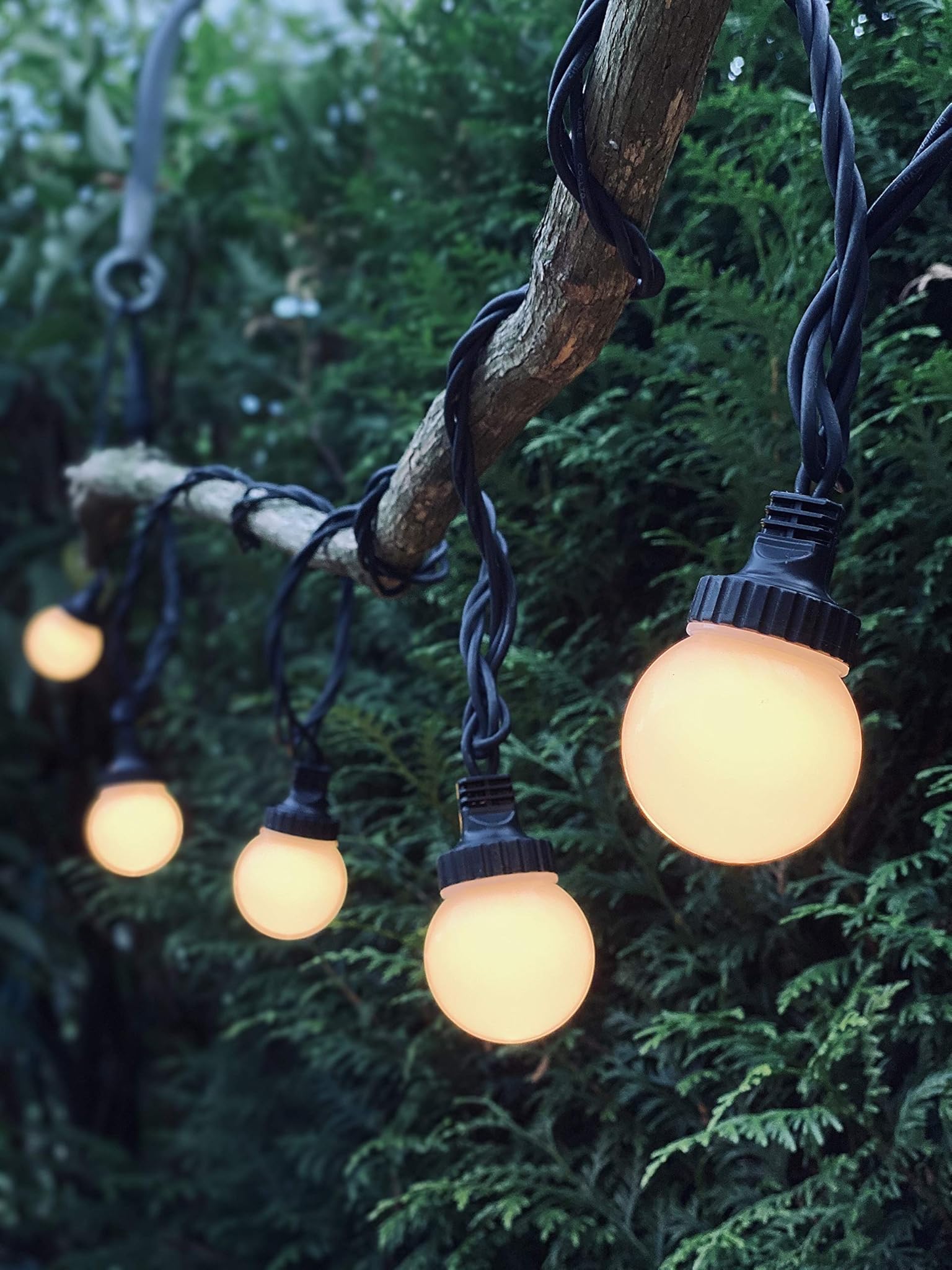 Ledzeit Catena Luminosa LED Profi Serie 5m, 10 Lampadine