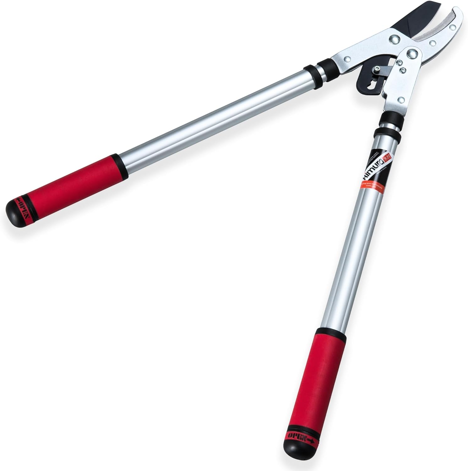 Troncarami a cricchetto Pro 301