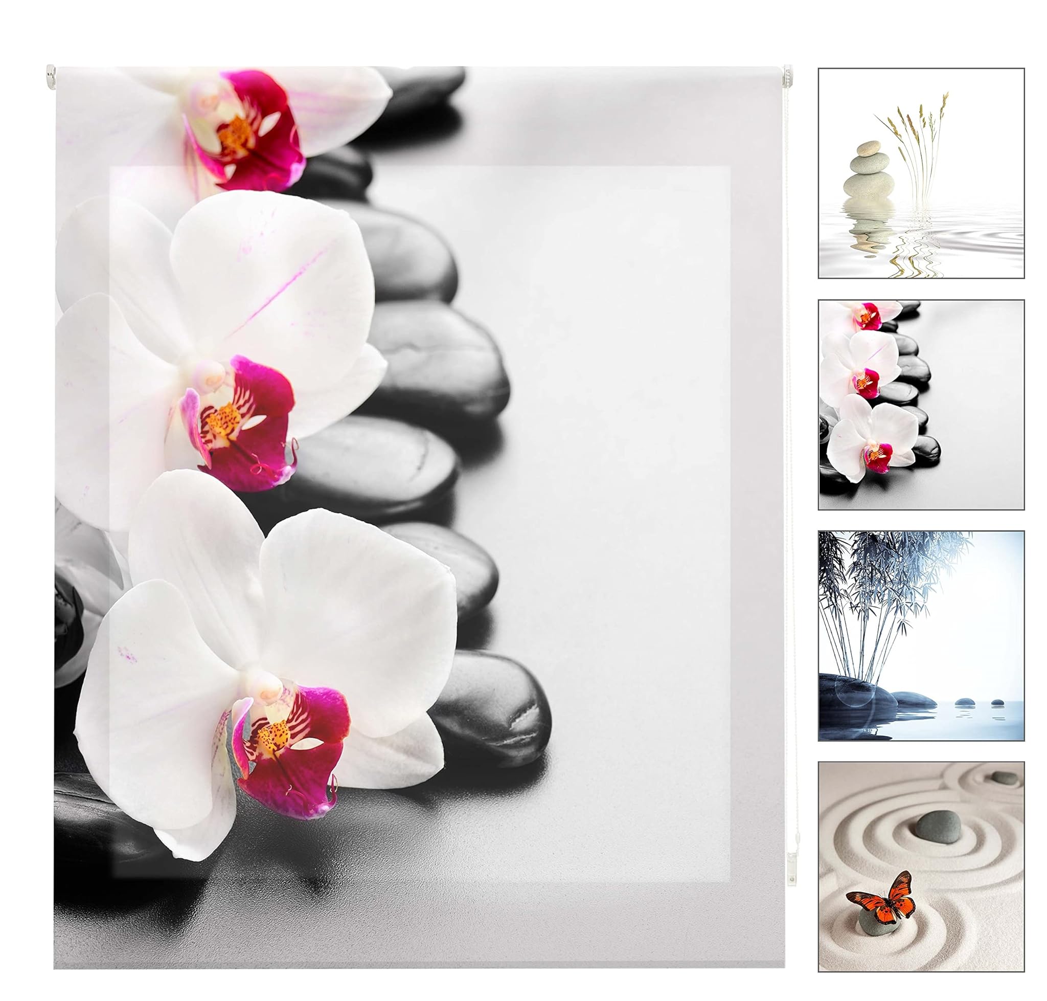 Blindecor W-Z-81465 - Tenda a Rullo Trasparente