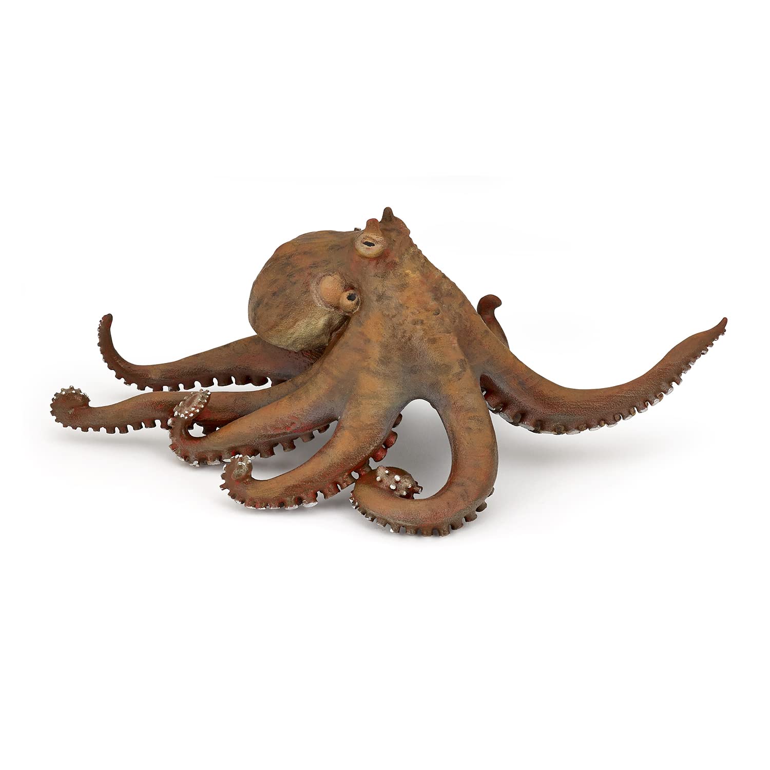 Papo - Statuetta Polpo Realistica - 3 Anni + - Collezione Universo Marino - Gioco Educativo Creature Marine - Idea Regalo Giocattolo Bambina Bambino