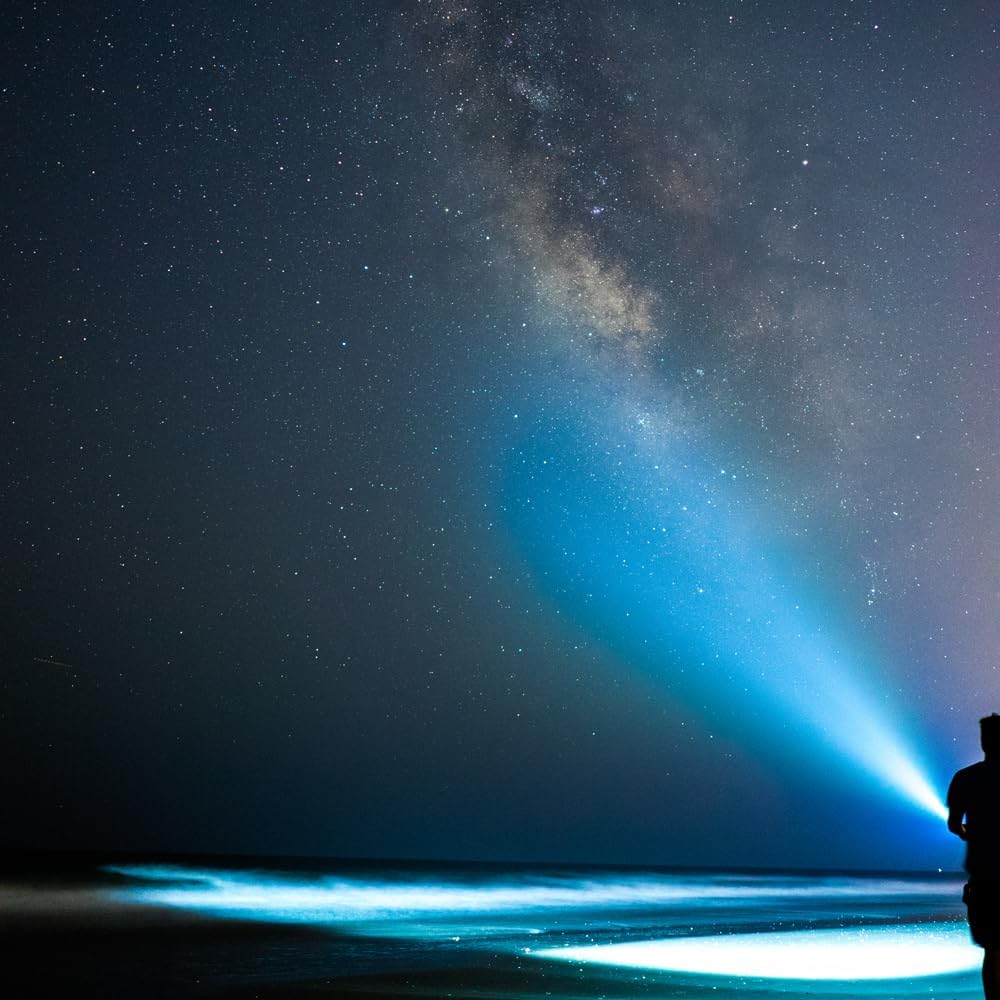 MAGLITE 50ls2016 2 C Lampada Torcia - immagine 2