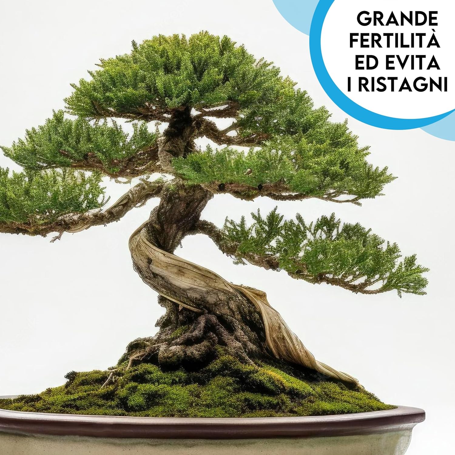 ZomaGARDEN Terriccio Bonsai Premium 2L - immagine 2