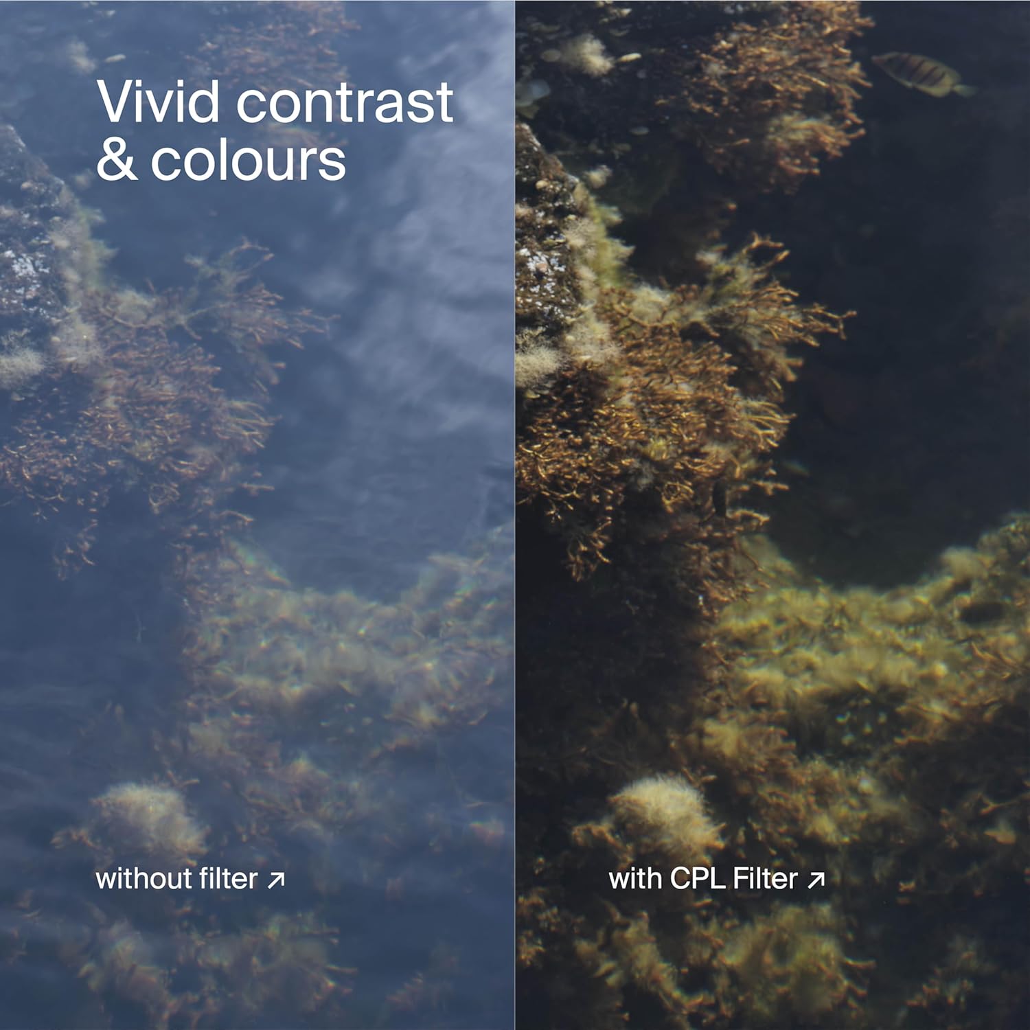 Urth UV, CPL, ND8, ND1000 Lens Filter Kit (Plus+) - immagine 7