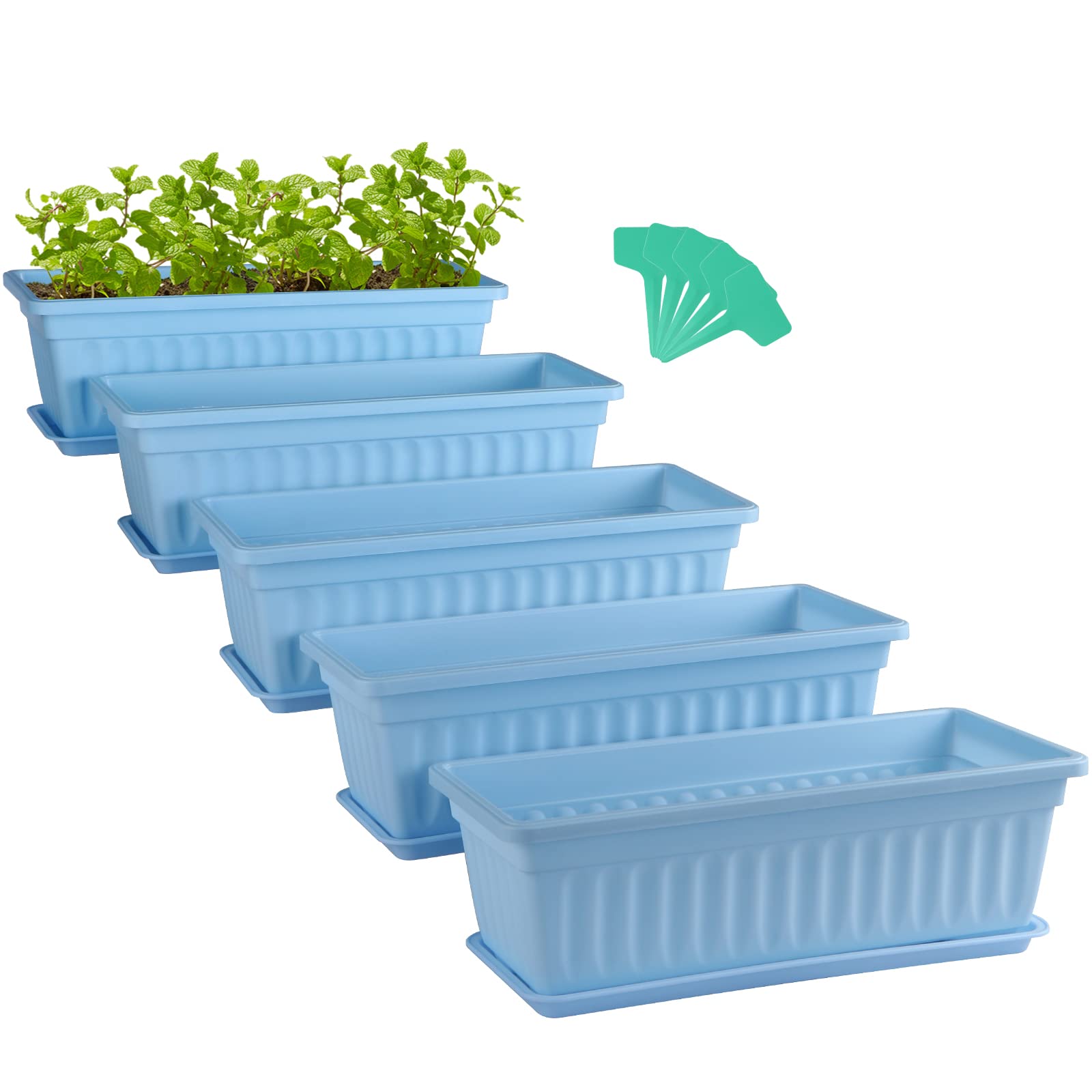 Skelang 5 Vasi da Fiori Rettangolari 42,7cm, Celese