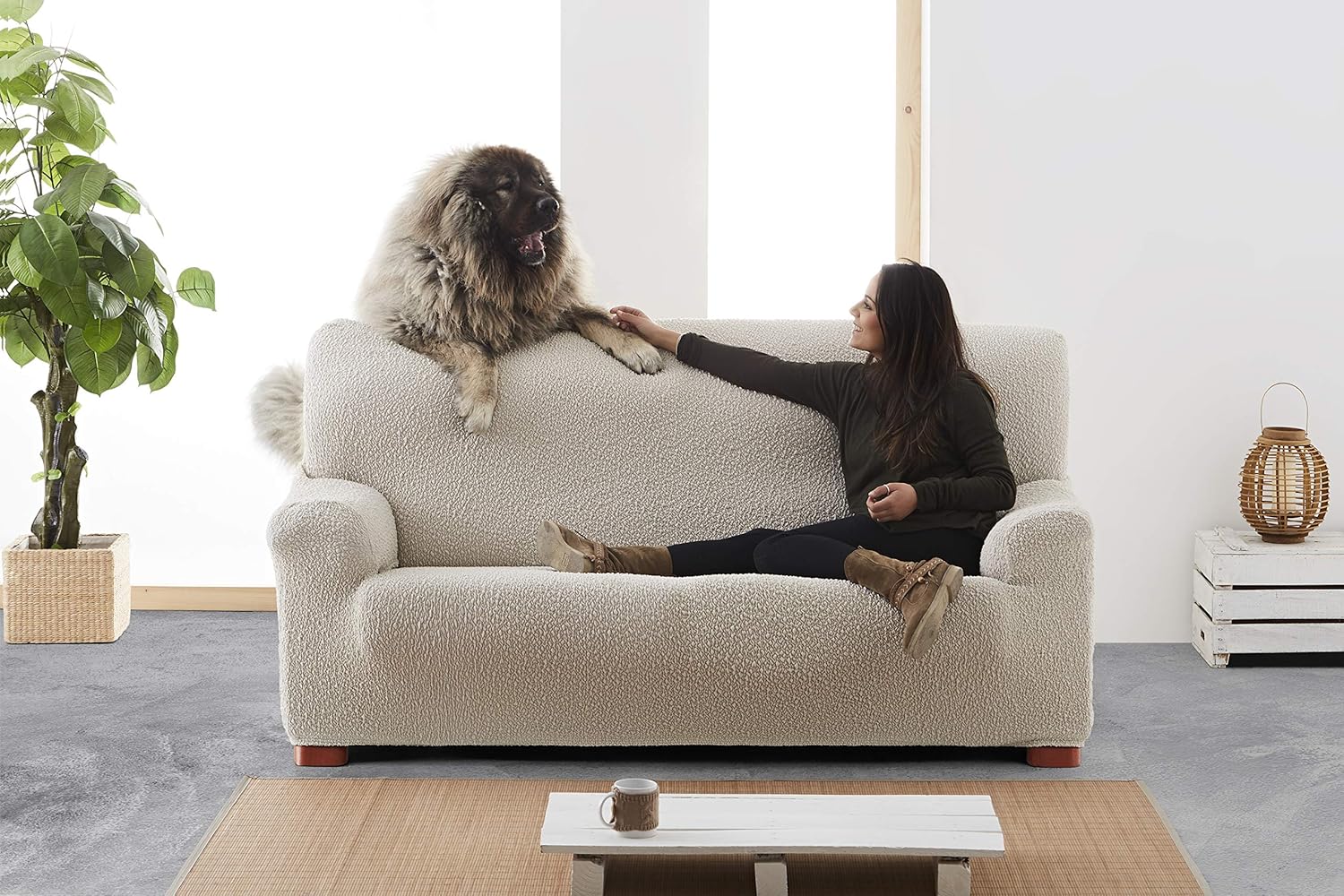 Eysa Copridivano 3D Lycra Grigio Chiaro 600 - immagine 6