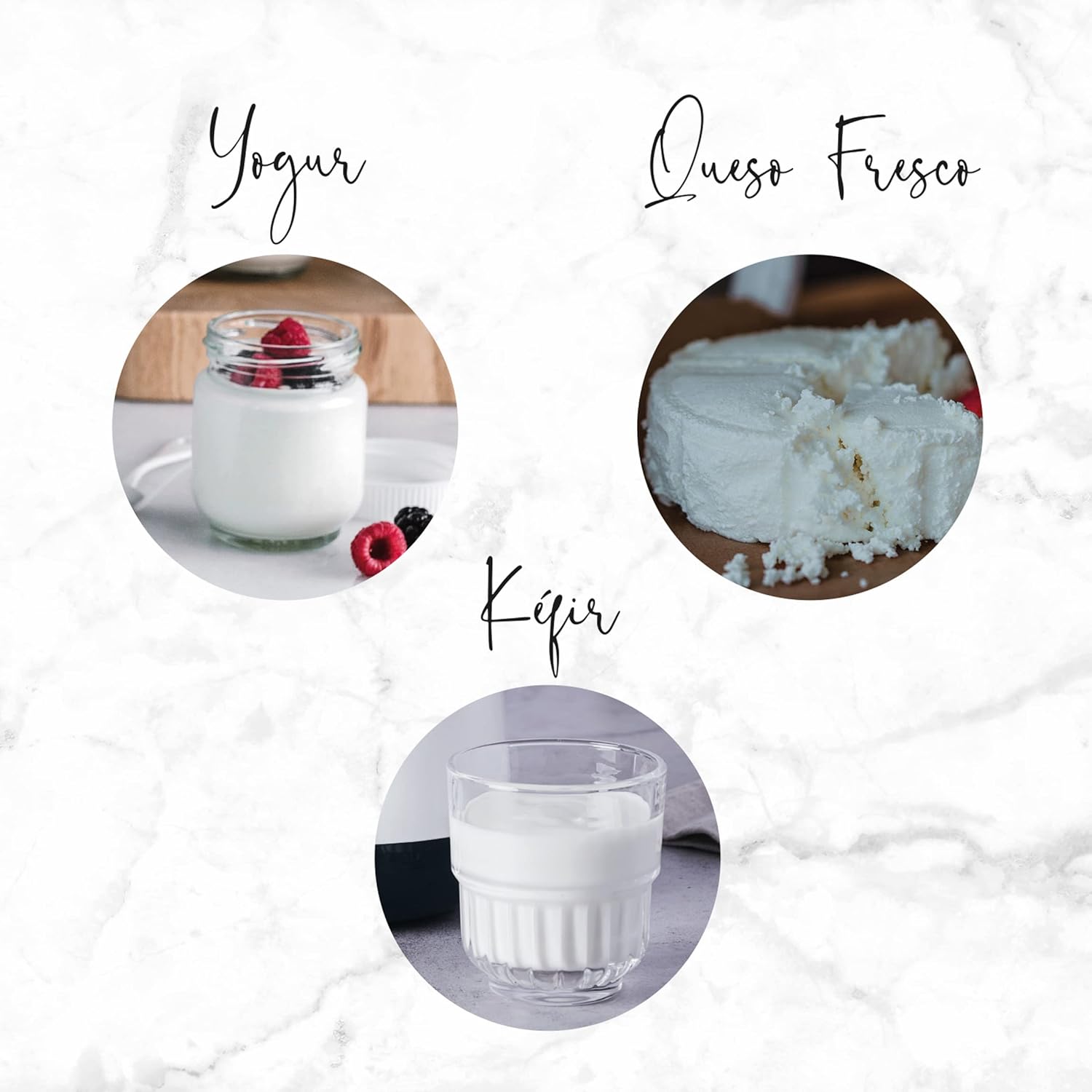 Lacor - 69243 - Supersillenciosa Maxi Yogurt Maker 2L - immagine 5