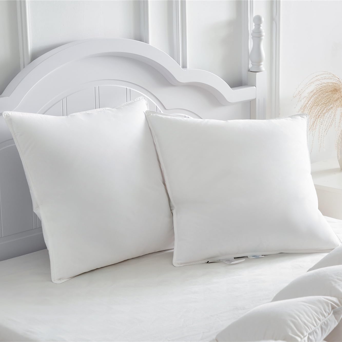 Homyrium Cuscini in Piuma 60x60cm (Set da 2)