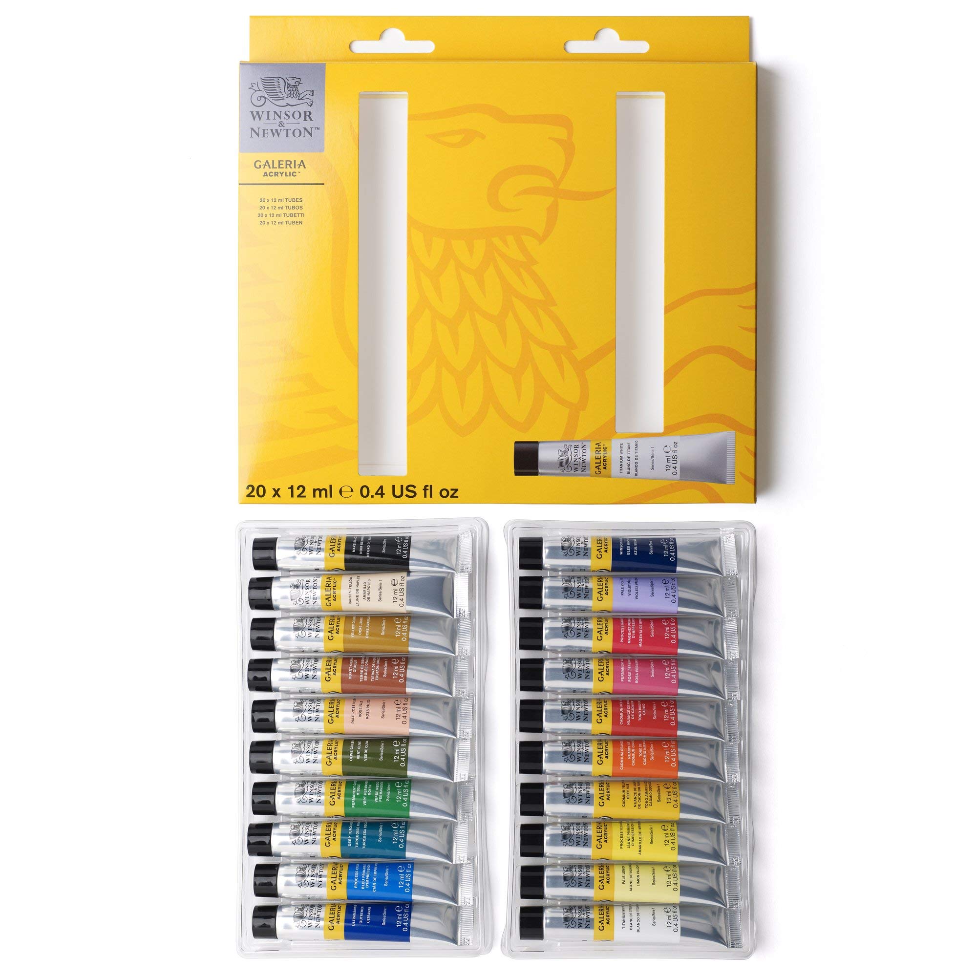 Winsor & Newton Galeria - Set D'Iniziazione 20 x 12ml