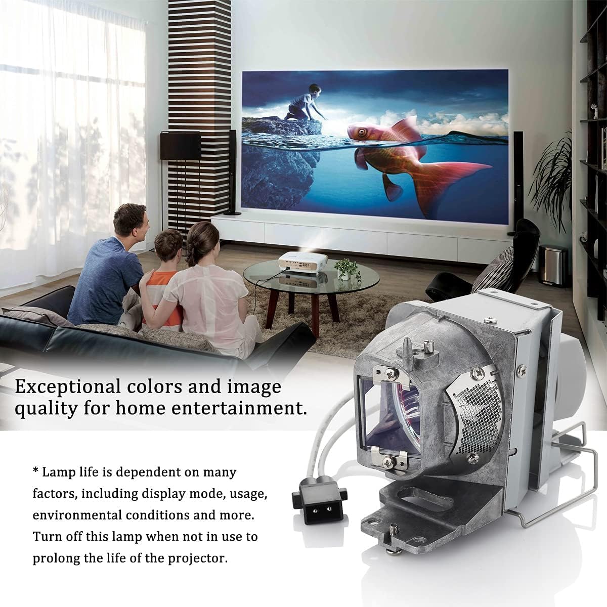 Lampada per Proiettore Optoma BL-FP210A BL-FP210B - immagine 6