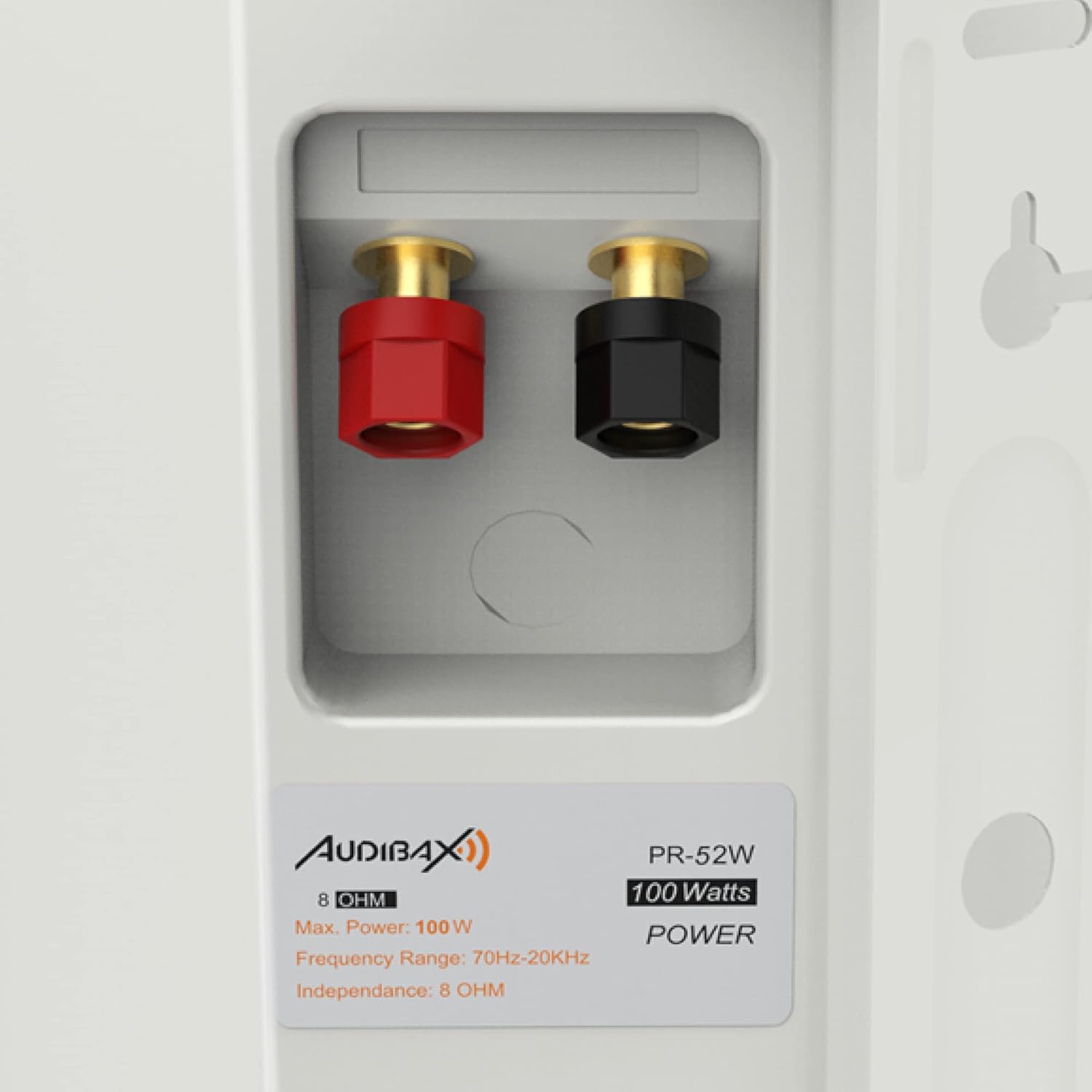 Audibax Pícolo PR-52W - Diffusori Passivi HiFi 100W - immagine 6