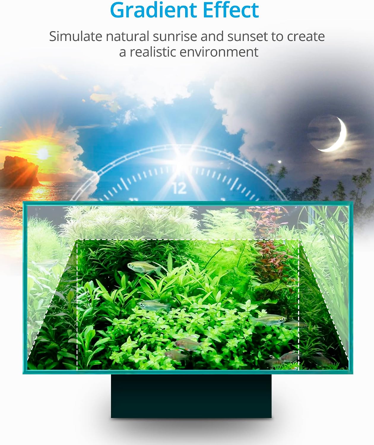 NICREW SlimLED LED Acquario con Tre Modalità, LED Acquario con Luce a ...