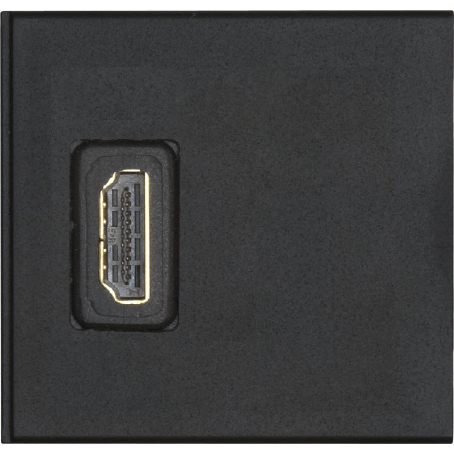 EVOline Modulo intercambiabile 1 x HDMI 2.0, nero