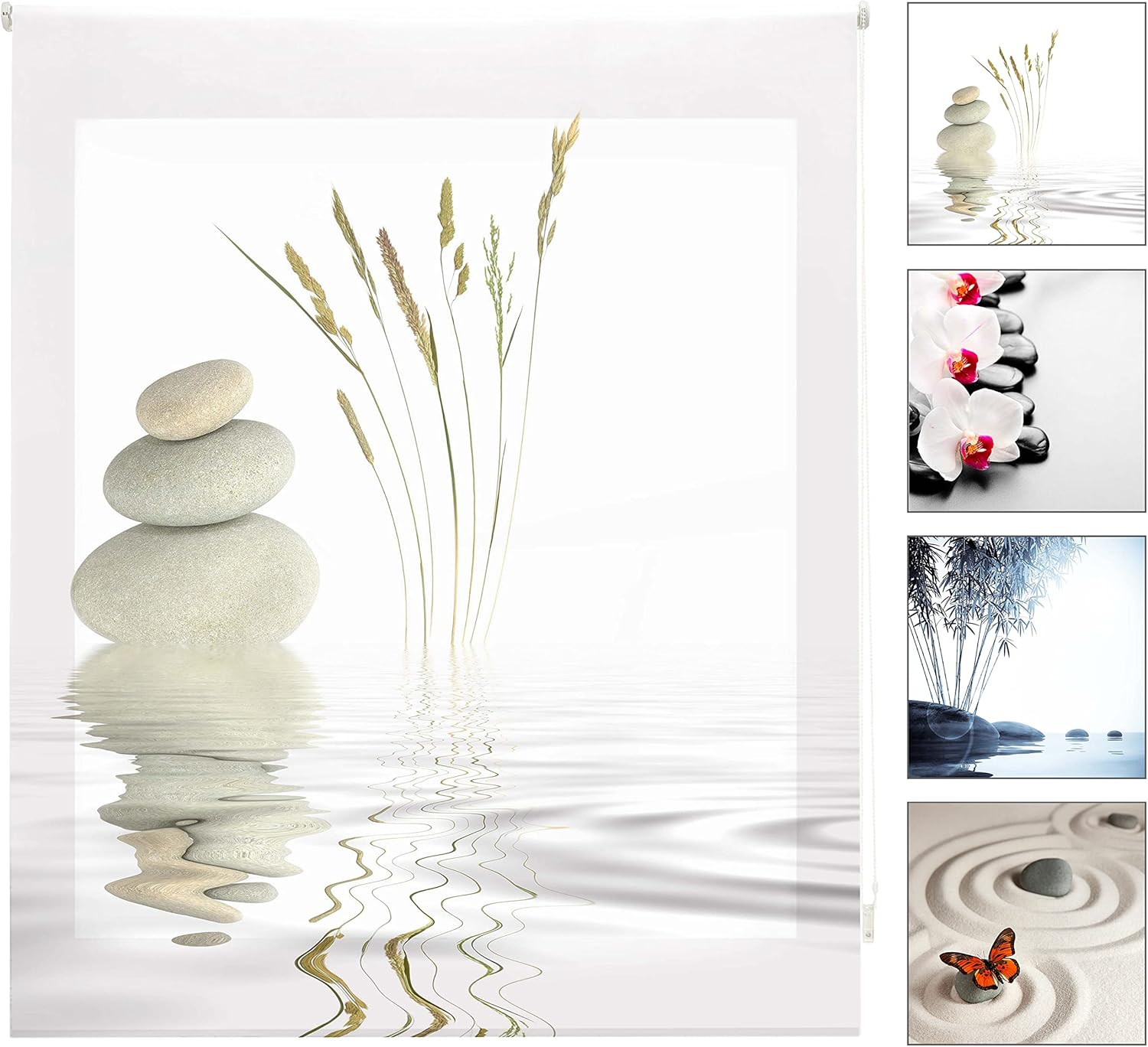 Blindecor W-Z-14991 - Tenda a Rullo Trasparente