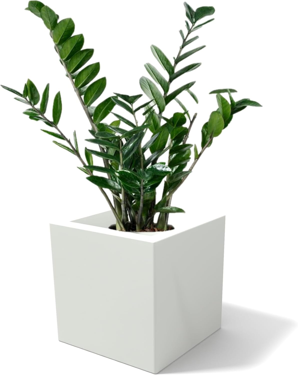 kloris Vaso Cubo Moderno Ellenico 25x25cm, Bianco