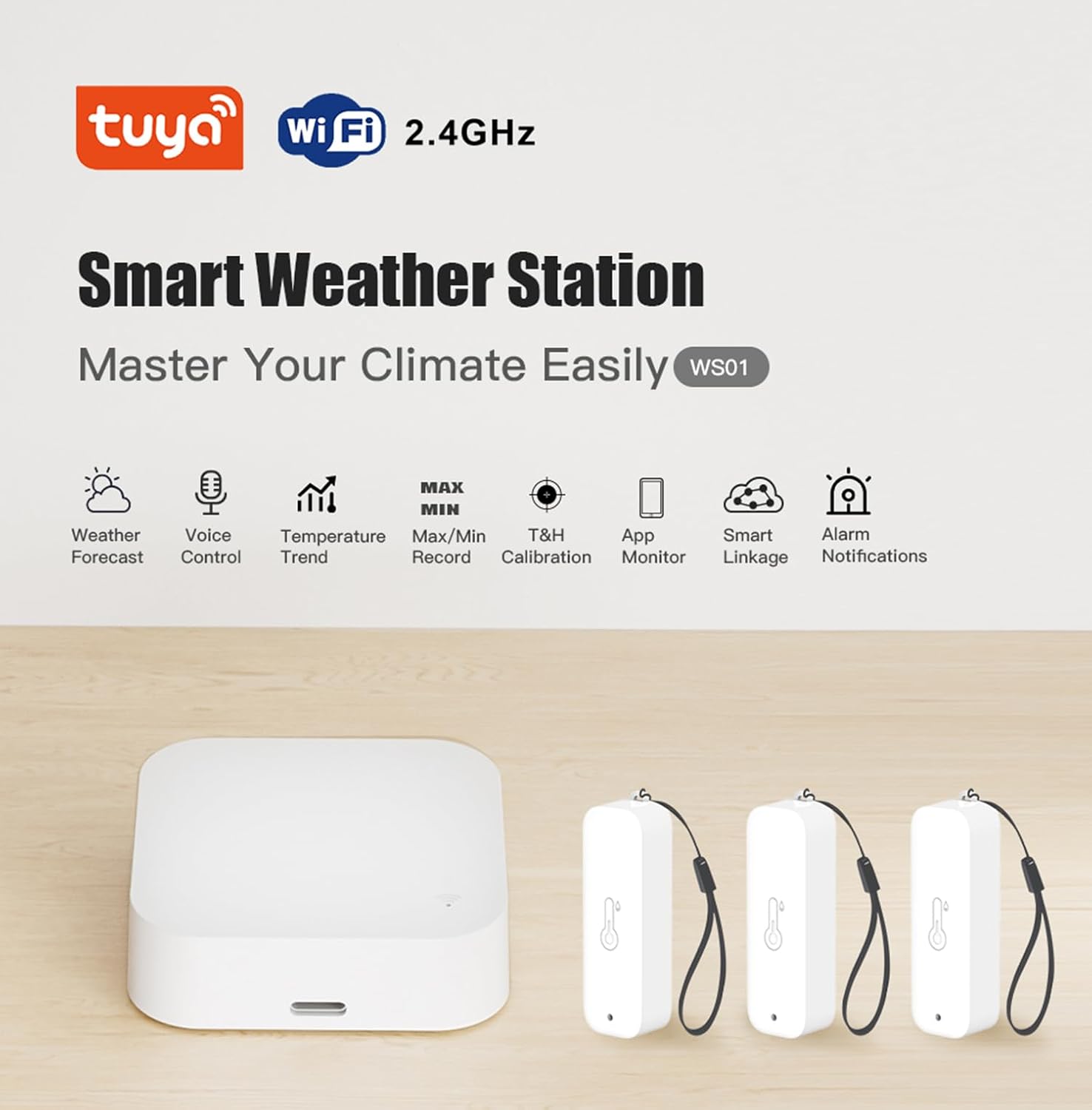 Termometro Igrometro WiFi Interni/Esterni 150m - immagine 2