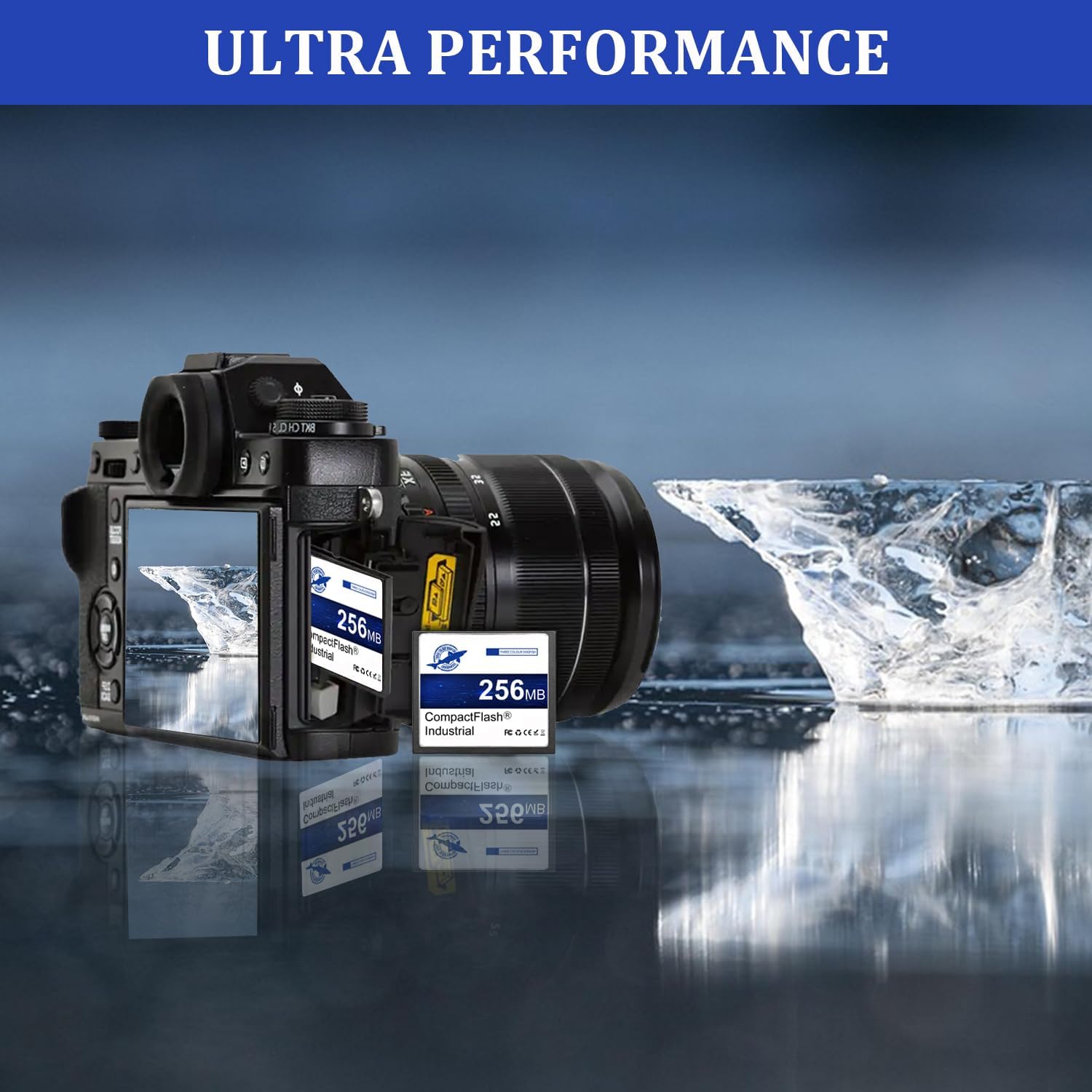 Dogfish Compact Flash Scheda di Memoria 256MB 5PACK - immagine 4