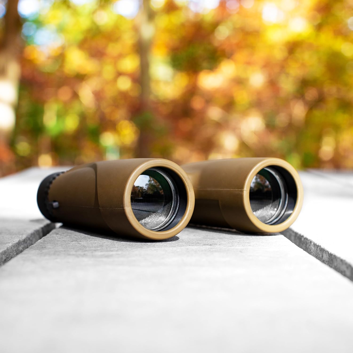 Carson Stinger - Binocolo Compatto 12x32mm, Verde Oliva - immagine 5