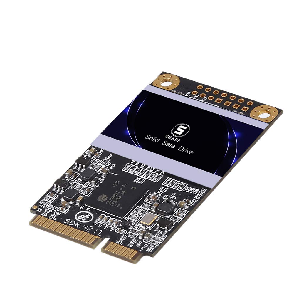 Dogfish SSD mSATA Shark Interno 1TB