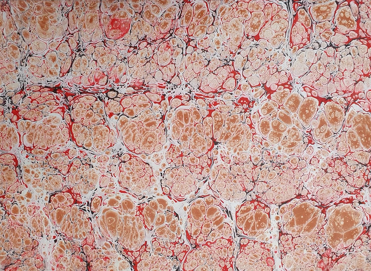 Set di Marmorizzazione Tradizionale DIN A3 - immagine 7