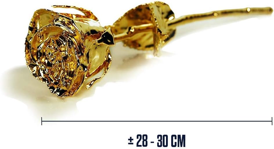 Mikamax Rosa D'oro 24K con Certificato, Scatola Nera - immagine 3