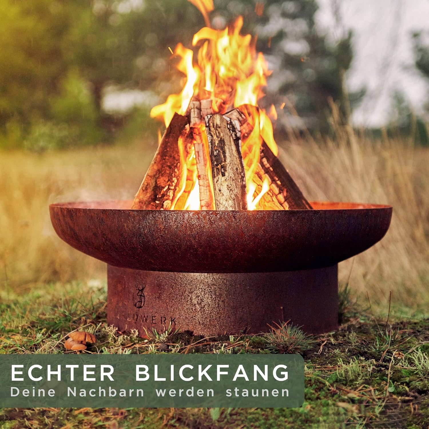 WALDWERK Braciere (metallo, 55) - immagine 3