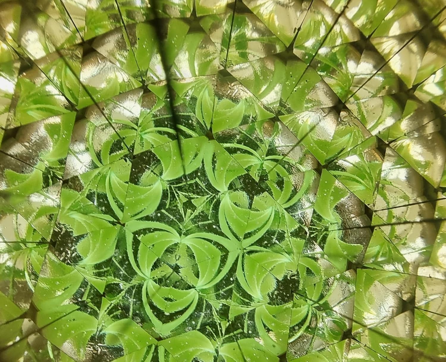 antiqlicious Caleidoscopio Vintage Fatto a Mano - immagine 5