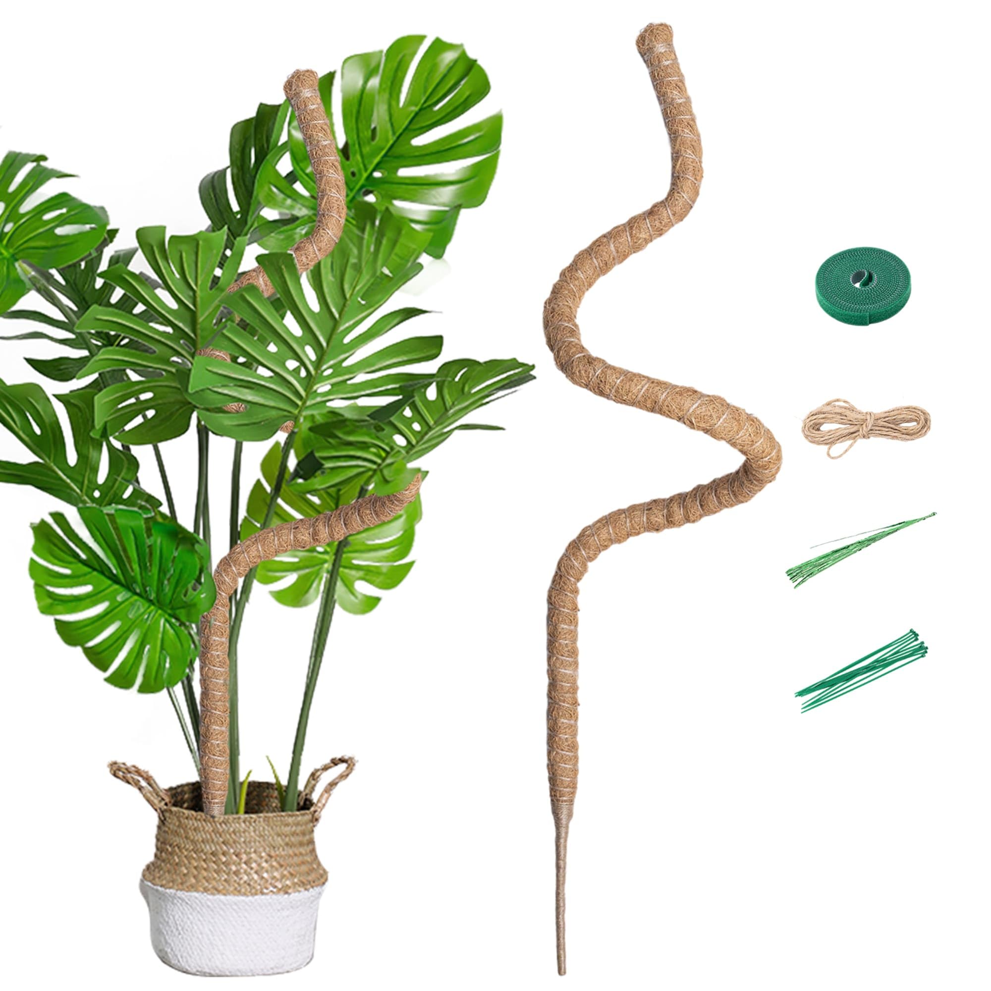Supporto Piante Rampicanti 160cm per Monstera Deliciosa
