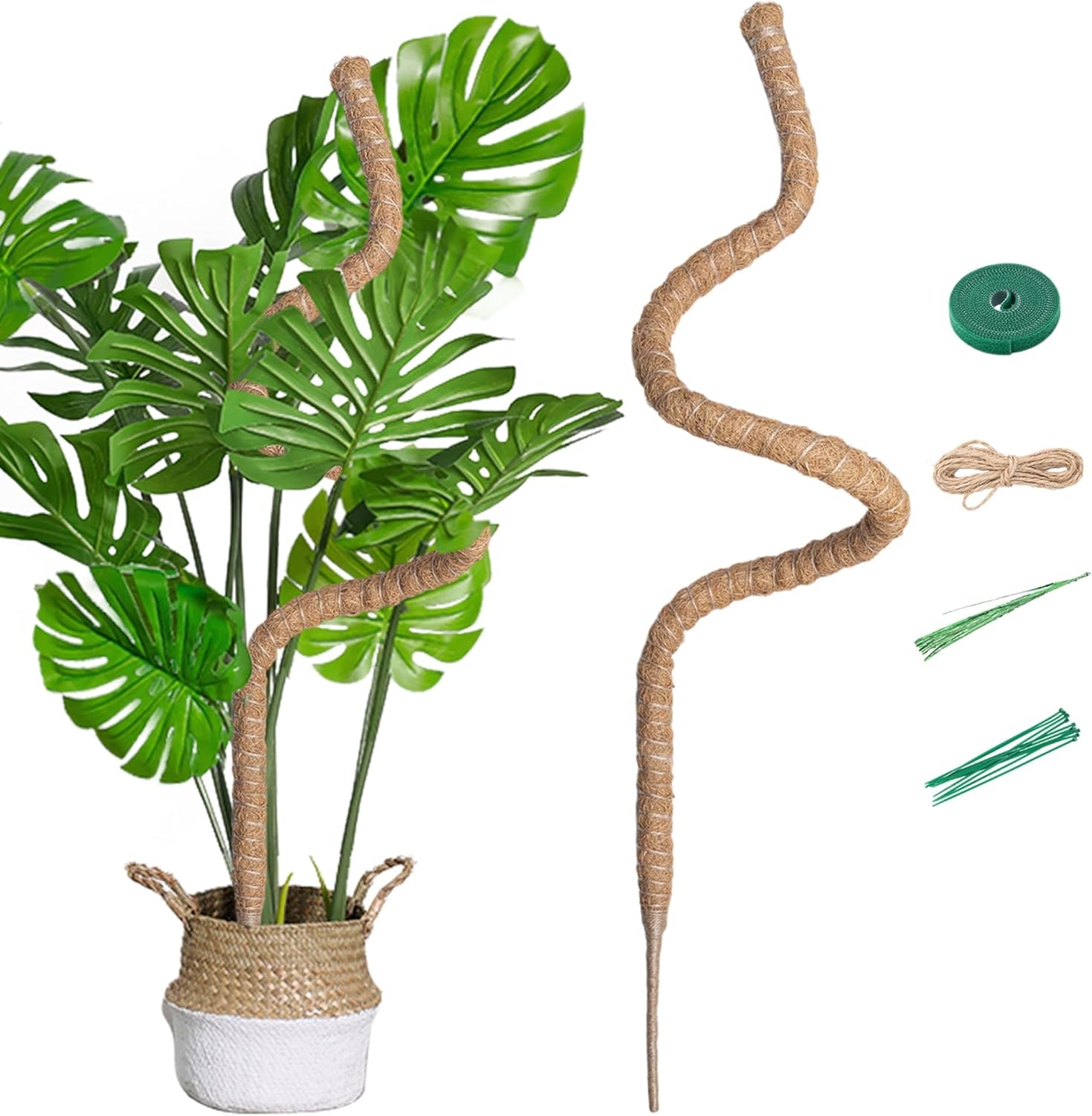 Supporto Piante Rampicanti 160cm per Monstera Deliciosa - immagine 1