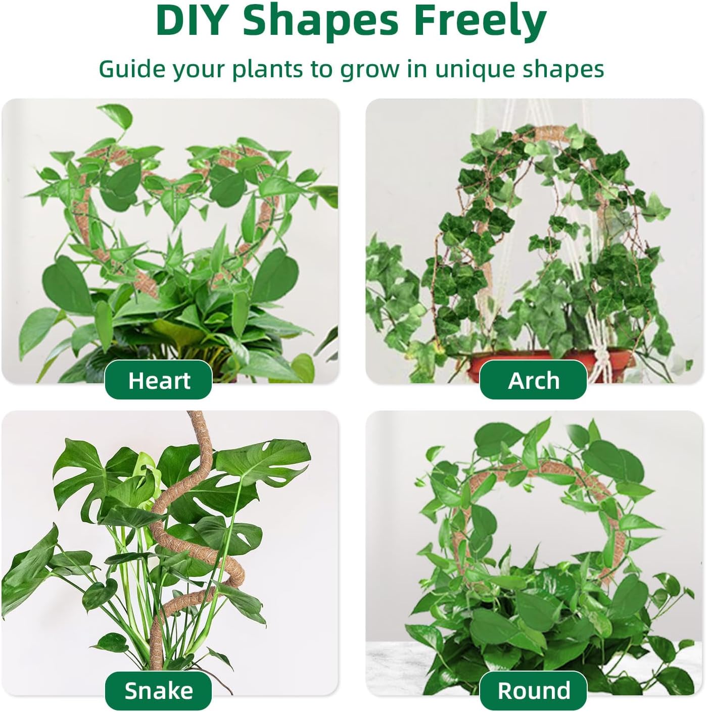 Supporto Piante Rampicanti 160cm per Monstera Deliciosa - immagine 5