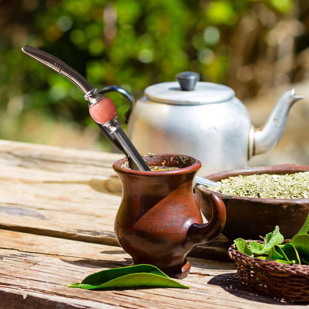 Cannuccia riutilizzabile Bombilla Yerba Mate – Filtro a cucchiaio ...