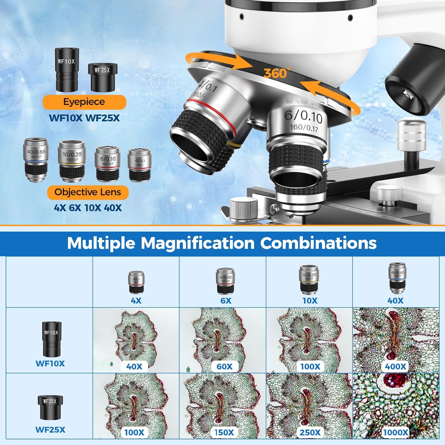 Microscopio Binoculare Composto Professionale 40X-1000X - immagine 2