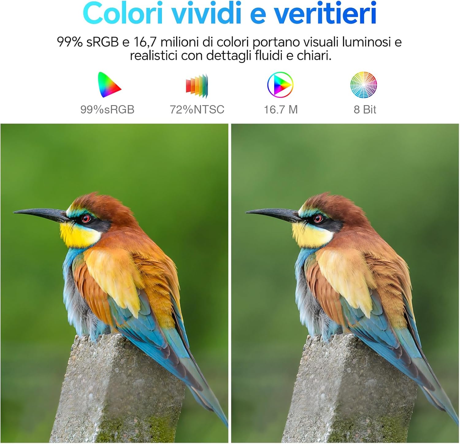 Koorui E2212F Monitor PC 22" Full HD VA 100HZ - immagine 8