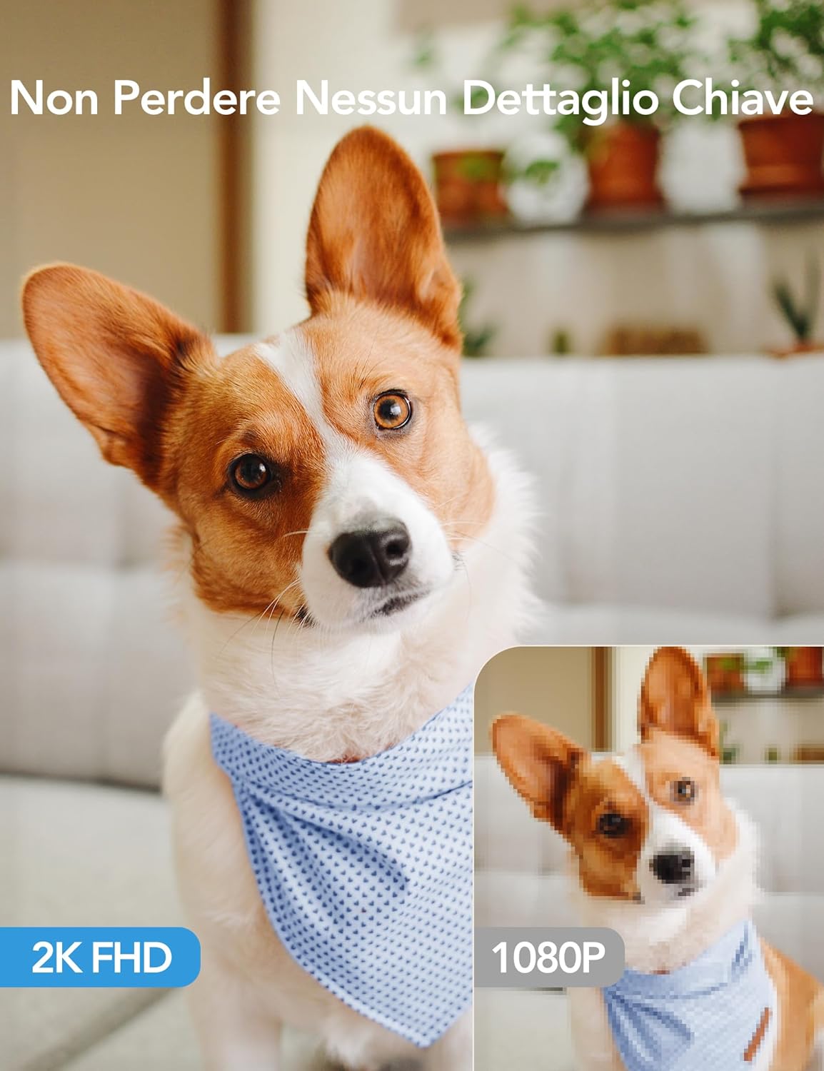 Gncc Telecamera WiFi Interno 2K (2-Pack) 360° - immagine 3