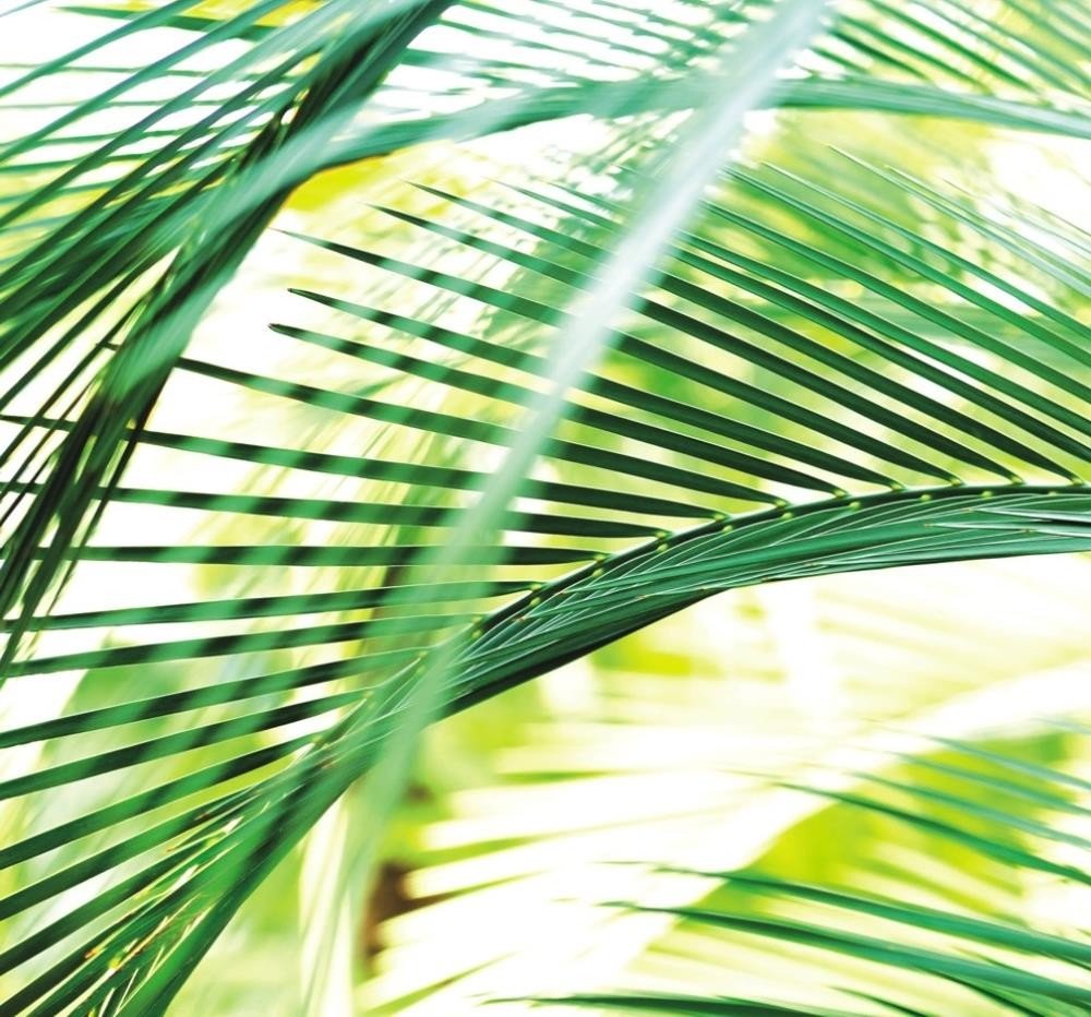 Rasch Tapete 890501 - Carta da parati fotografica Magicwalls